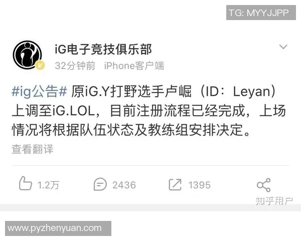 深入分析英雄联盟IG战队的游戏节奏与战术策略探讨实时数据